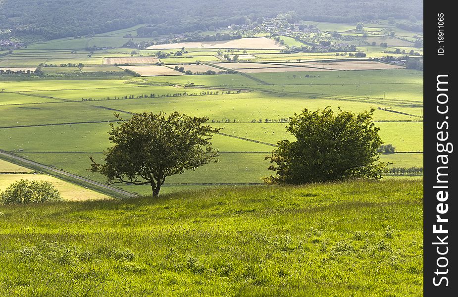 A view of the Lyth Valley, Cumbria, England, with two small trees in the foreground. A view of the Lyth Valley, Cumbria, England, with two small trees in the foreground.