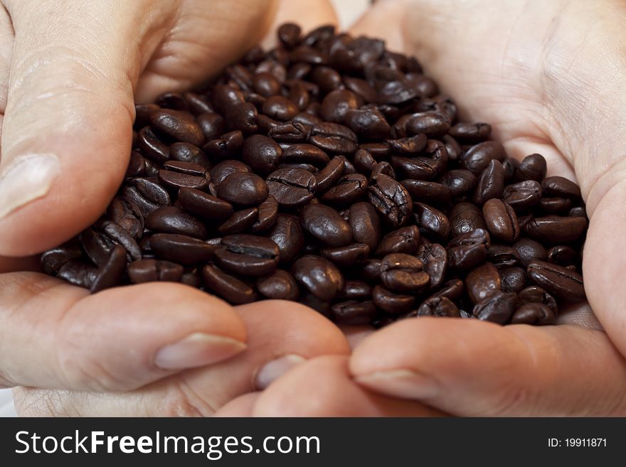Medium Roasted Coffee beans in mans hands. Medium Roasted Coffee beans in mans hands