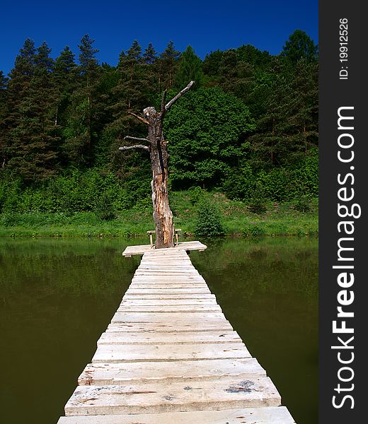 A footbridge to an old tree in ihe middle of the lake.