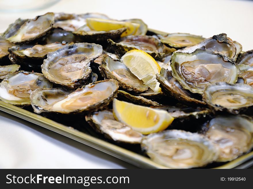 Appetizer - oysters with lemon on a tray. Appetizer - oysters with lemon on a tray