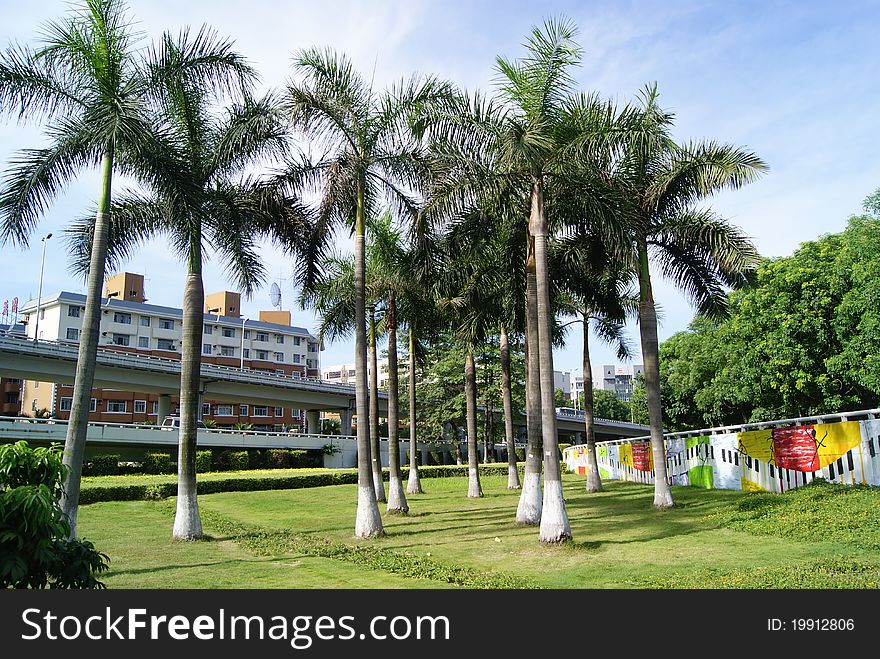 This is China's shenzhen baoan xixiang overpass garden.