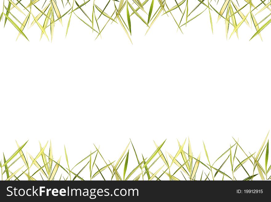 Bamboo Leaves Background