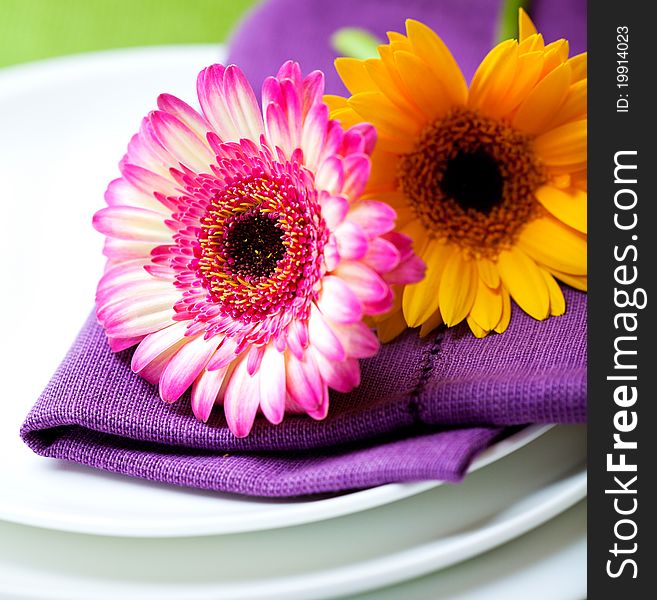 Colorful place setting with two gerbera flowers. Colorful place setting with two gerbera flowers