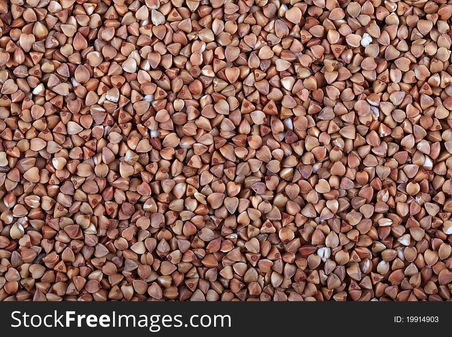 Buckwheat