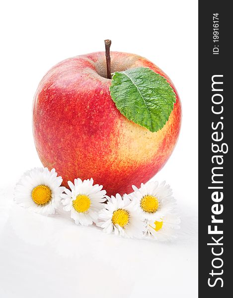 Red apple and flowers isolated on a white background