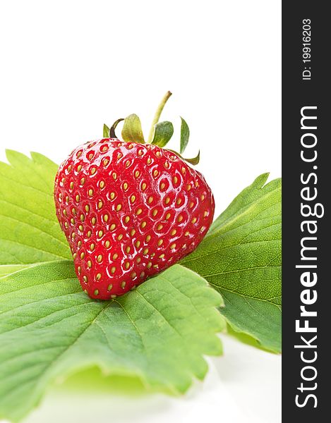 Fresh strawberry on a green leaf isolated on a white background