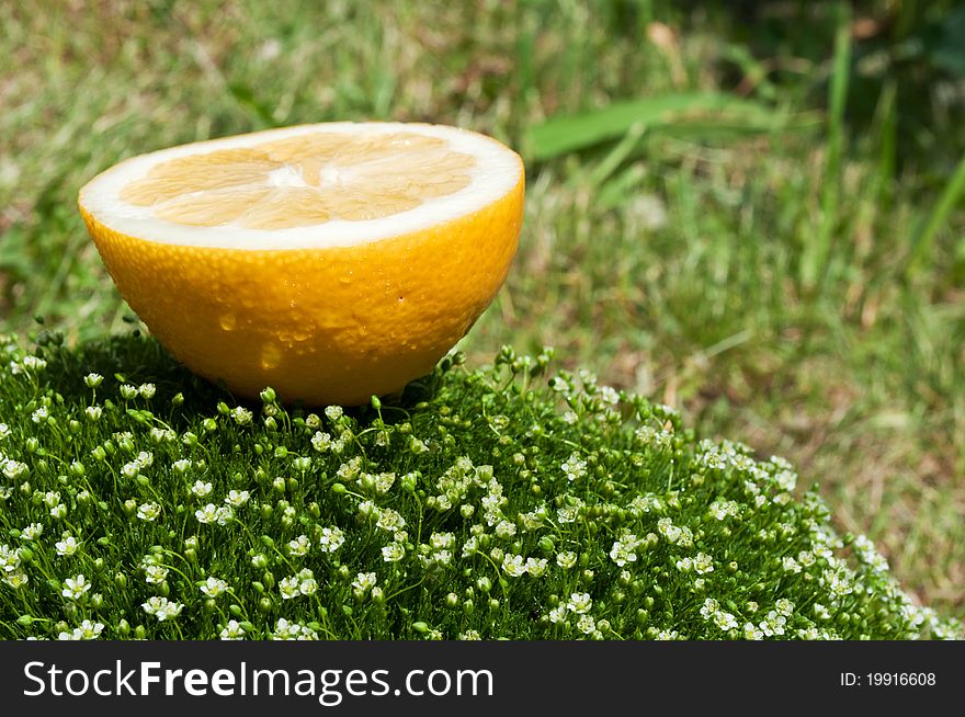 Fresh lemon on a green grass background