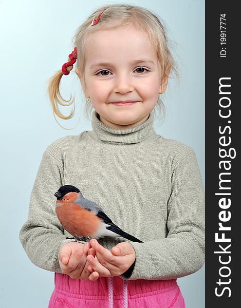 Little girl  holding  bright beautiful bullfinch. Little girl  holding  bright beautiful bullfinch