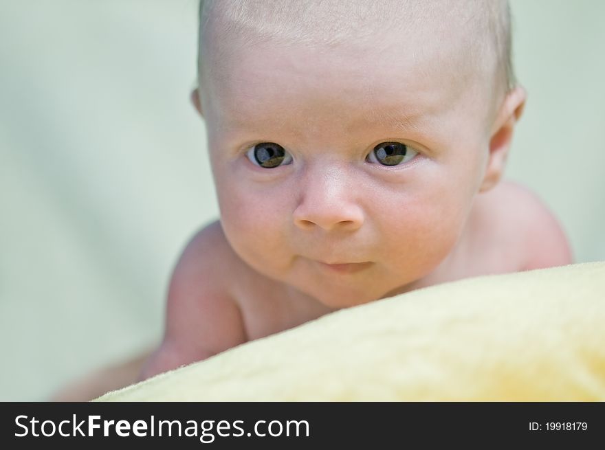 Newborn boy portrait close up