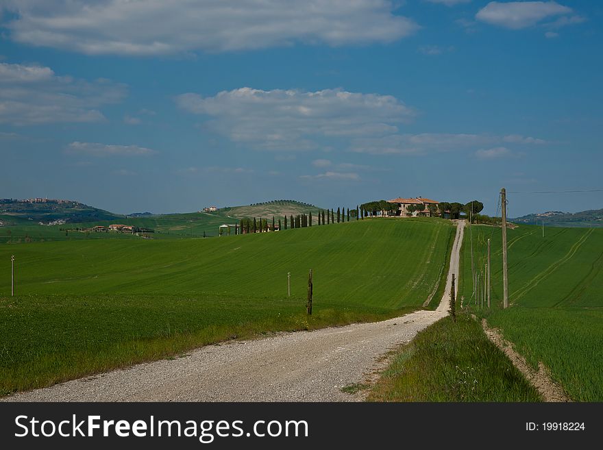 Driveway to the farmhouse stretches across the new growth crops with walled city on distant horizon. Driveway to the farmhouse stretches across the new growth crops with walled city on distant horizon.