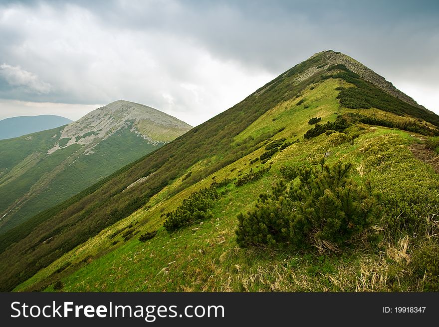 Higt hill in carpathians mountains