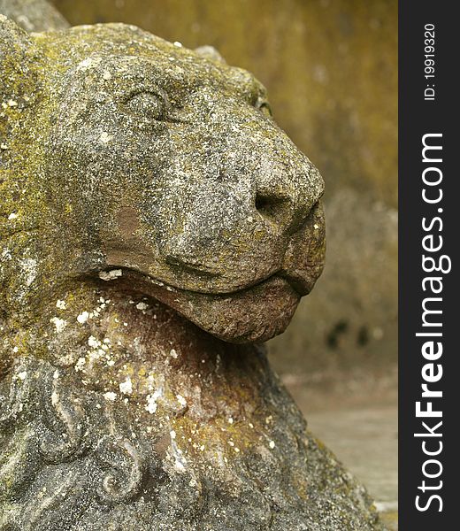 Stone lion with eroded look and lichen