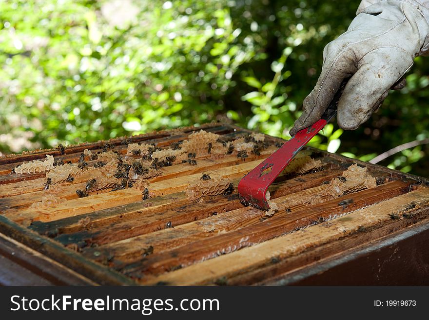 A beekeeper is checking his hives in a forest. A beekeeper is checking his hives in a forest