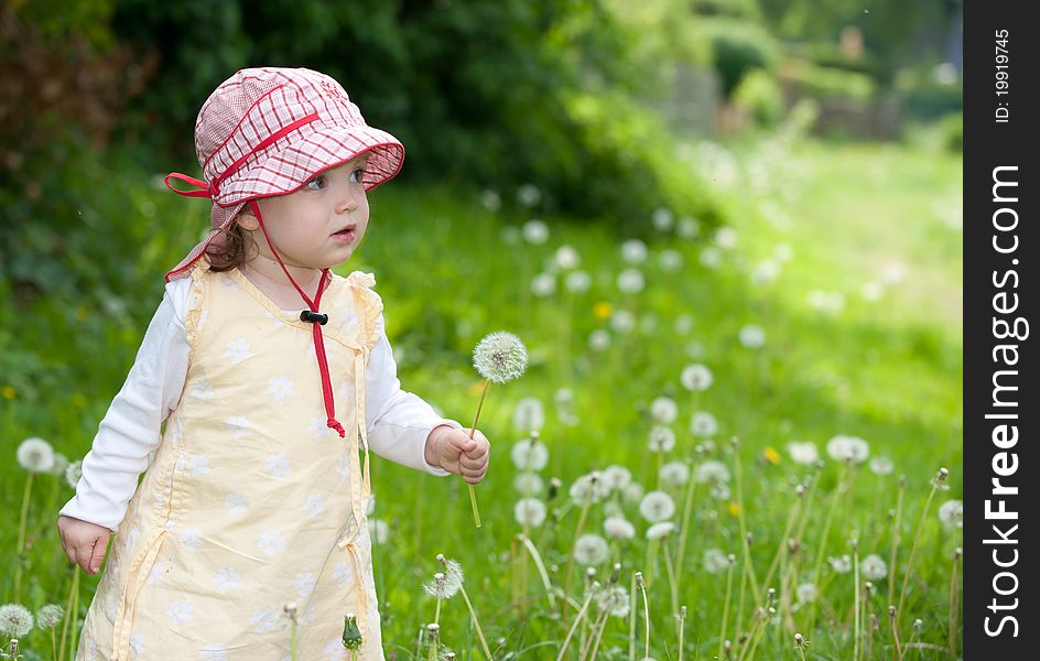 Toddler With Blowball