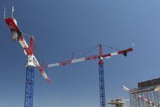 Red And White Cranes Stock Photos