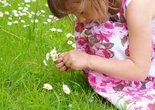 Girl Picking Flowers Royalty Free Stock Image Girl Picking Flowers Royalty Free Stock Image