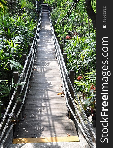 The suspension foot bridge for trekkers in tropical jungle in a wetland park in Hongkong,China.