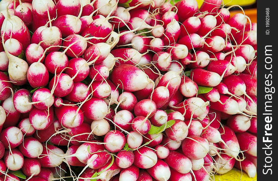 Fresh red and white radishes in a market