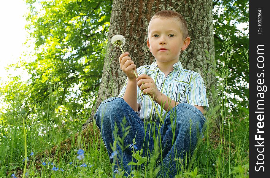 Portrait of a boy outdoor in a park
