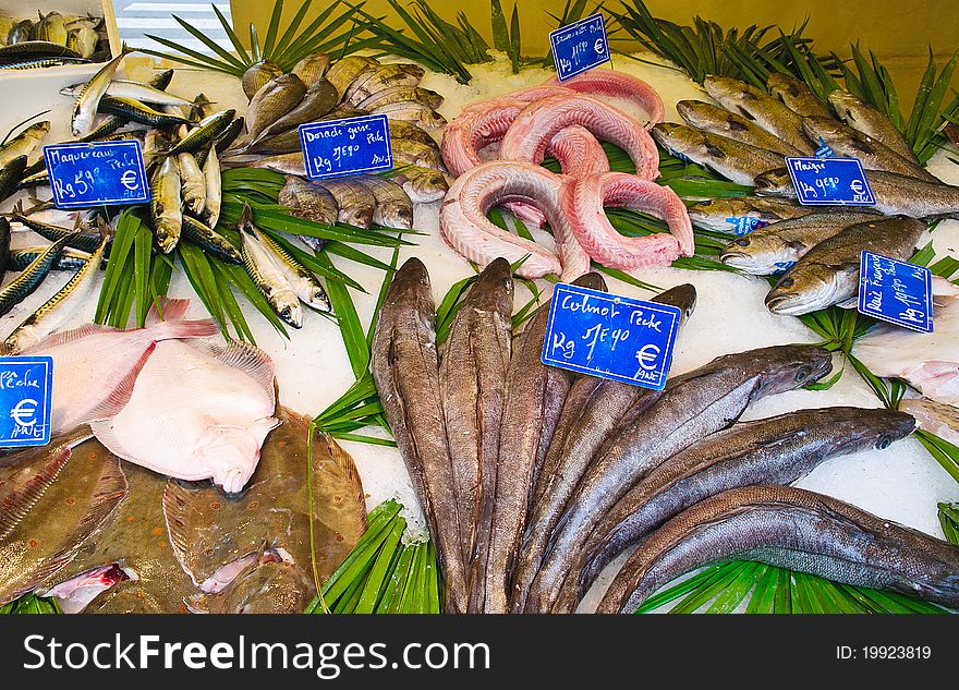 Variety of fresh fish on ice in a french market