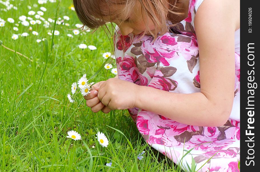 Girl picking flowers, in the summeer park