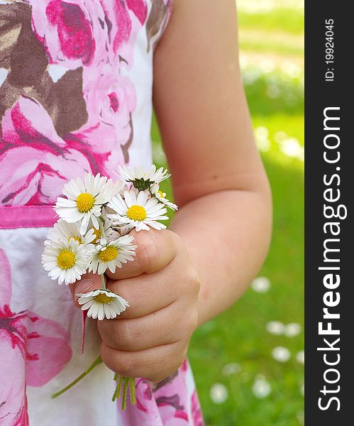 A Girl's hand holding a daisy