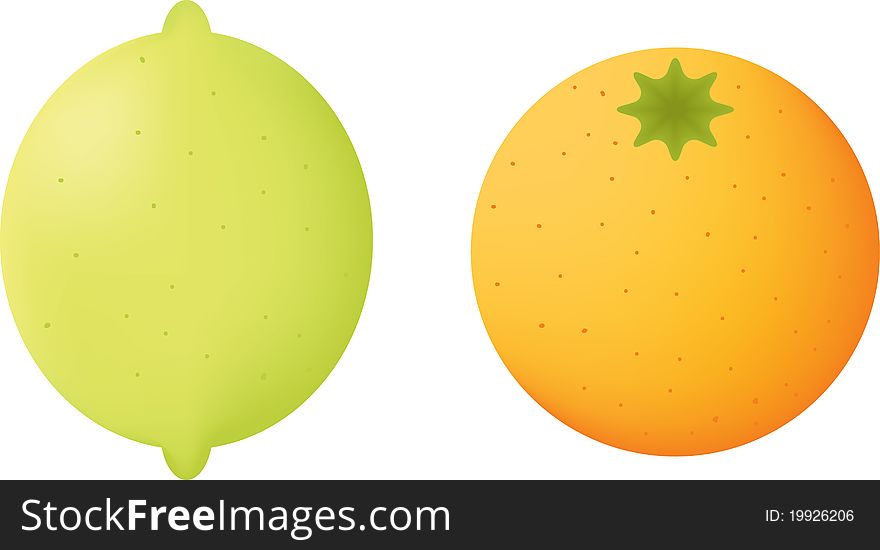 Illustration of lemon and orange