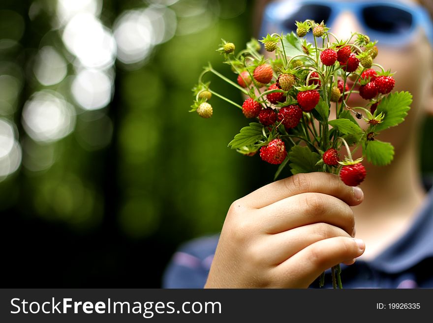 Wild red forest berries held in hand. Wild red forest berries held in hand