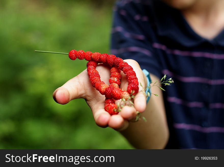 A natural berries chain held in a boy's hand. A natural berries chain held in a boy's hand