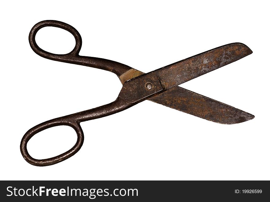 Tool Scissors  Metal Handle