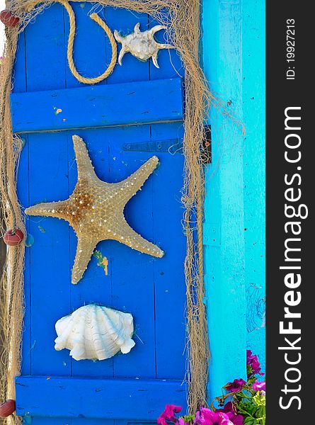 Unusual collection of sea critters mounted on a wooden door. Unusual collection of sea critters mounted on a wooden door