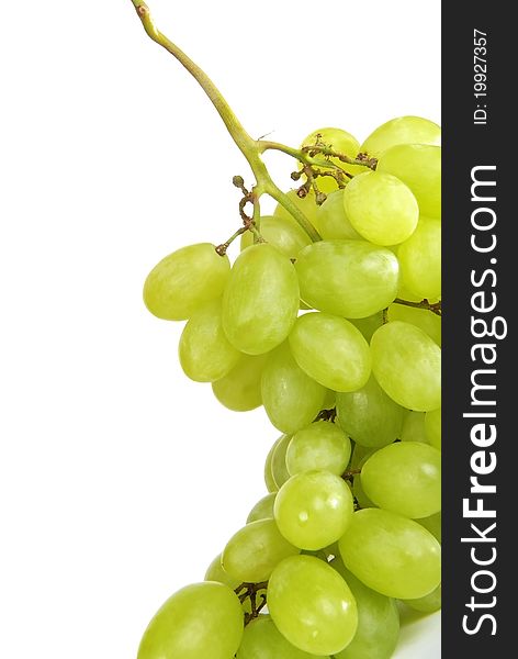 Fresh grape. Isolated. Close-up