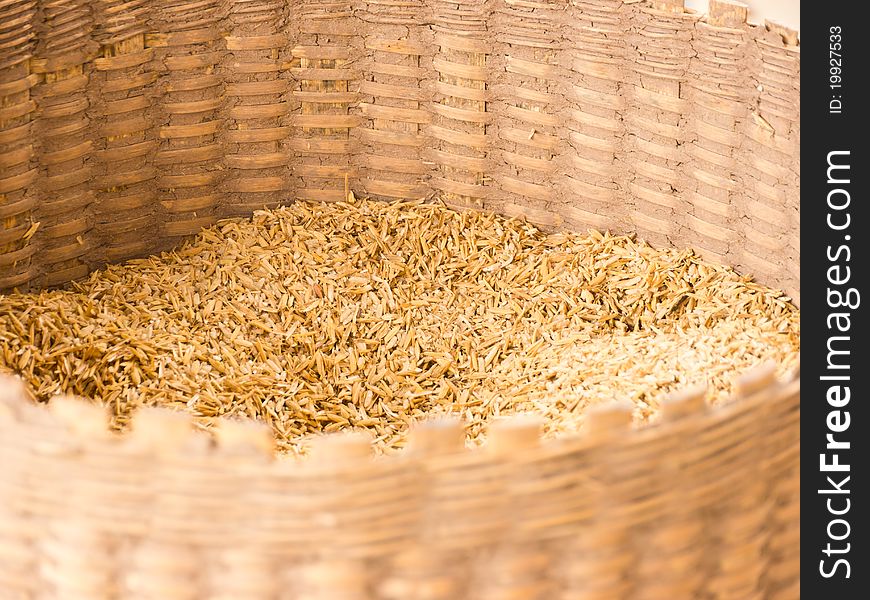 Paddy in wicker basket