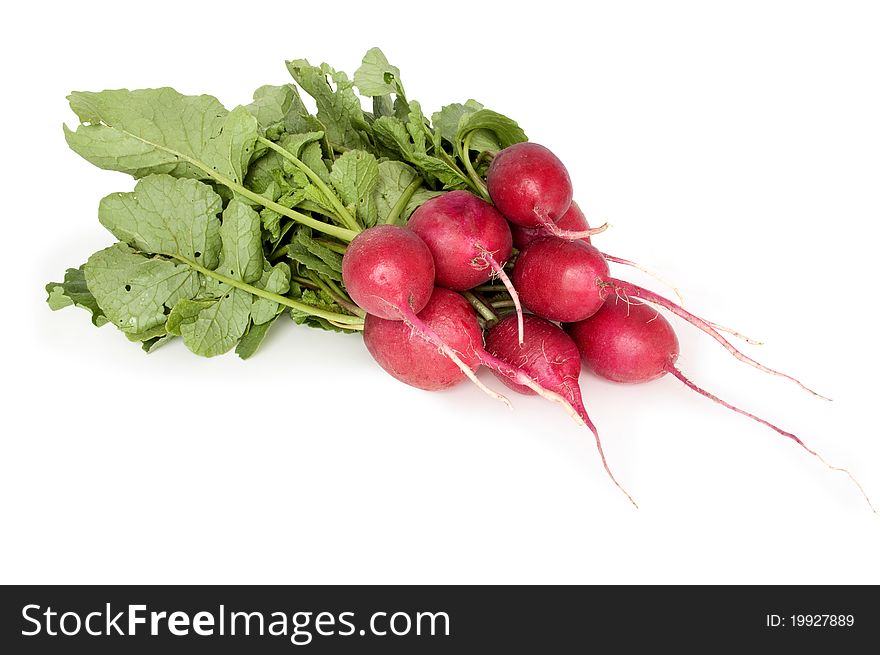 Fresh radishes on a white background