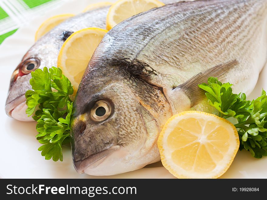 Gilt-head (Sparus aurata) on plate ready to be cooked. Gilt-head (Sparus aurata) on plate ready to be cooked