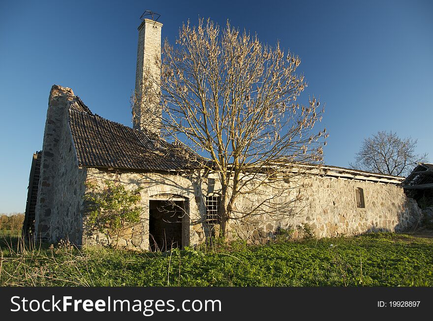 Old ancient abandoned farm house with collapsed roof. By the house is growing tree. Chimney has remained. Old ancient abandoned farm house with collapsed roof. By the house is growing tree. Chimney has remained.