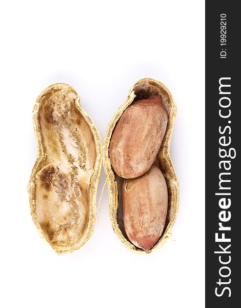 Isolated opened groundnut in white background