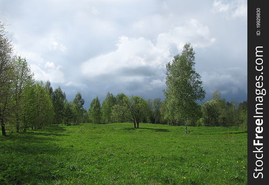 Landscape on a summer day before a thunderstorm