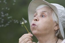 Women And Dandelion Royalty Free Stock Photography Women And Dandelion Royalty Free Stock Photography