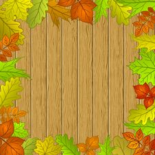 Leaves And Wooden Fence Stock Photo Leaves And Wooden Fence Stock Photo
