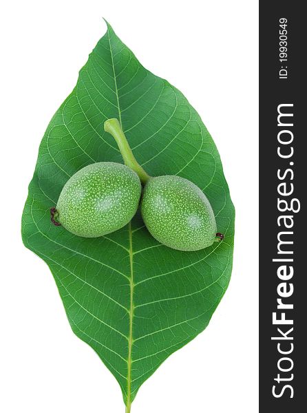 Green walnut fruits isolated on a white. Green walnut fruits isolated on a white