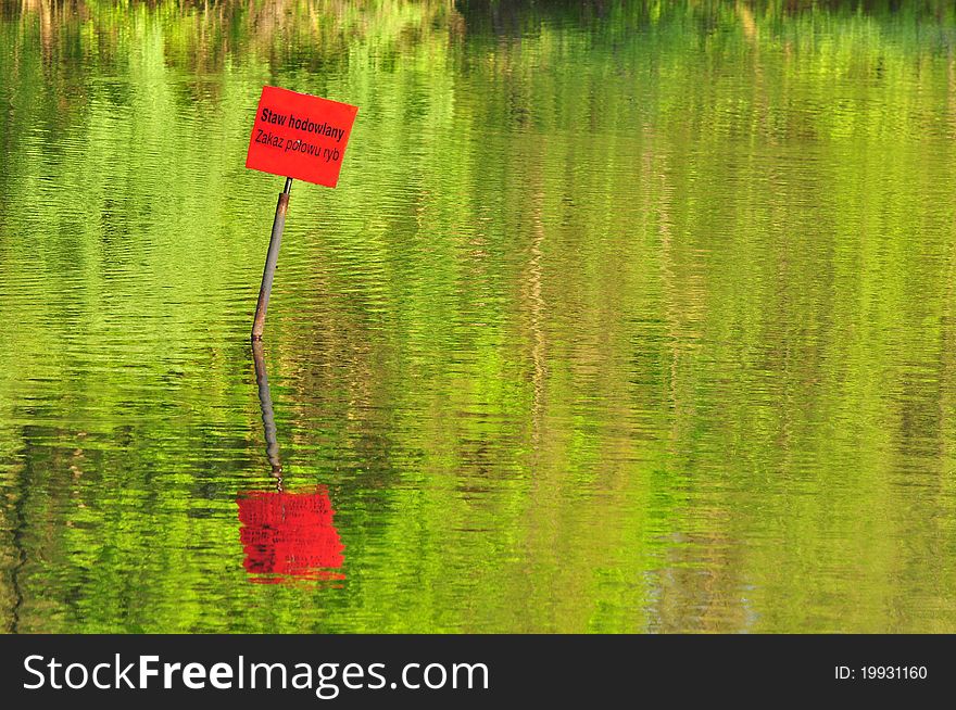 Lake-non-breeding fish and reflection in water