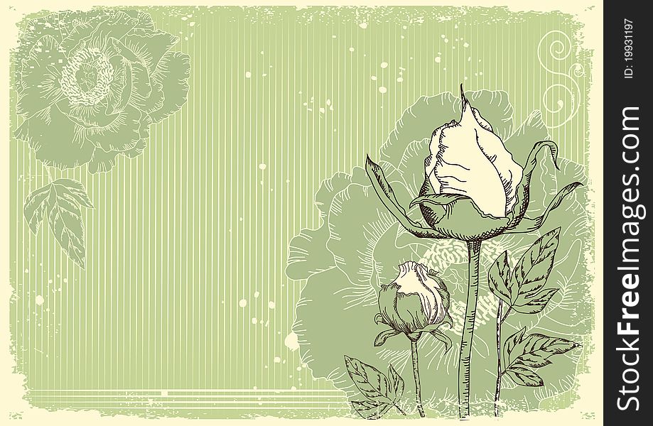 Flowers Grunge Postcard With Peonies