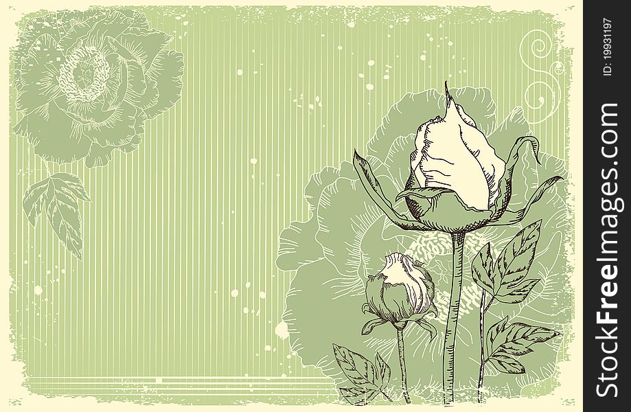 Flowers grunge postcard with peonies