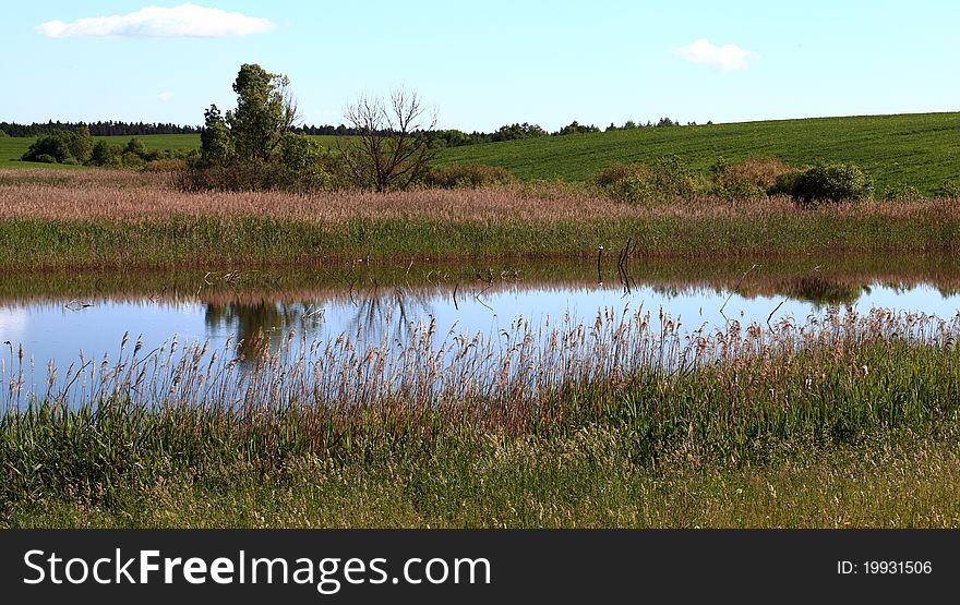 Summer view: lake with sky reflection