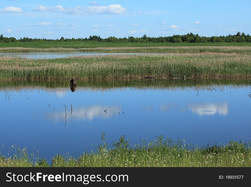 Summer view: lake with sky reflection