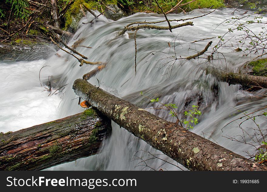This image of the rushing stream fed by snow melt the moss covered boulders and lush foliage and the intersecting logs was was taken in NW Montana. This image of the rushing stream fed by snow melt the moss covered boulders and lush foliage and the intersecting logs was was taken in NW Montana.