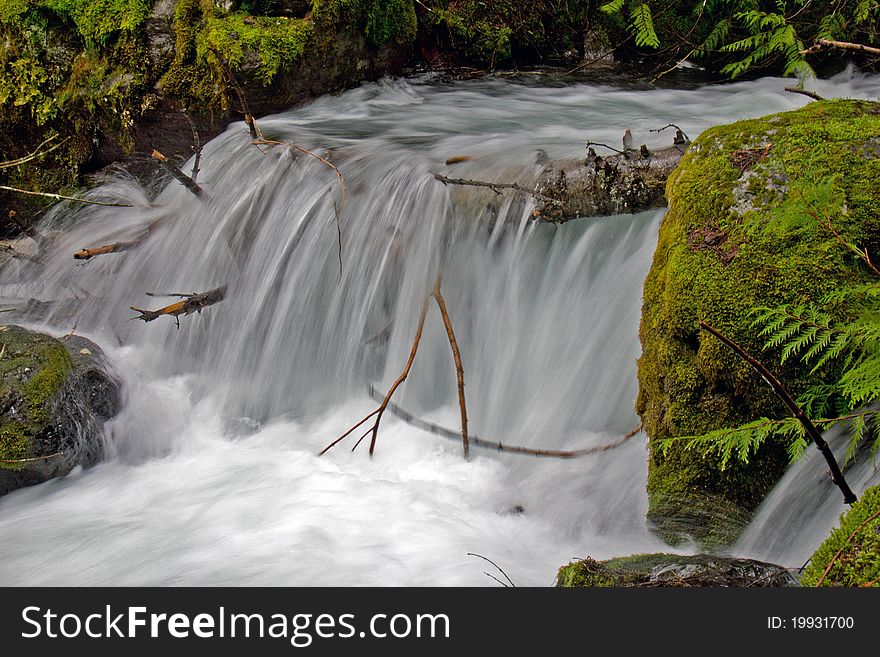 This image of the rushing stream fed by snow melt the moss covered boulders and lush foliage was was taken in NW Montana. This image of the rushing stream fed by snow melt the moss covered boulders and lush foliage was was taken in NW Montana.