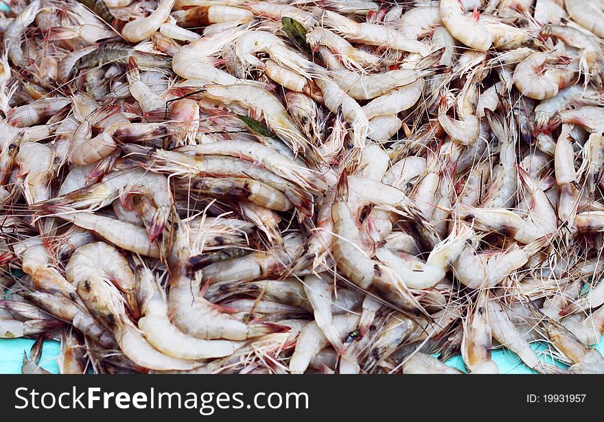 Pile Of Fresh Shrimp At Asian Market