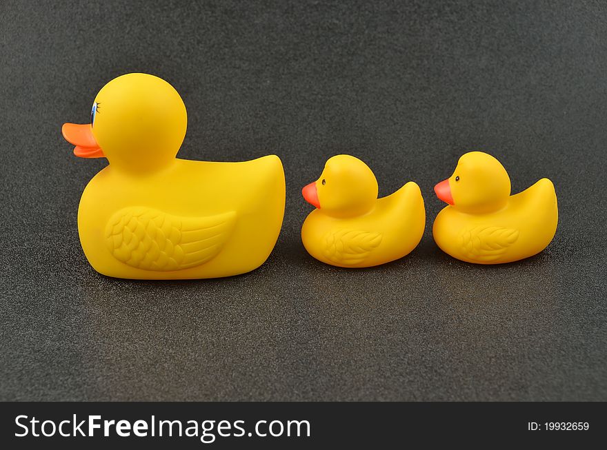 Rubber Duckies